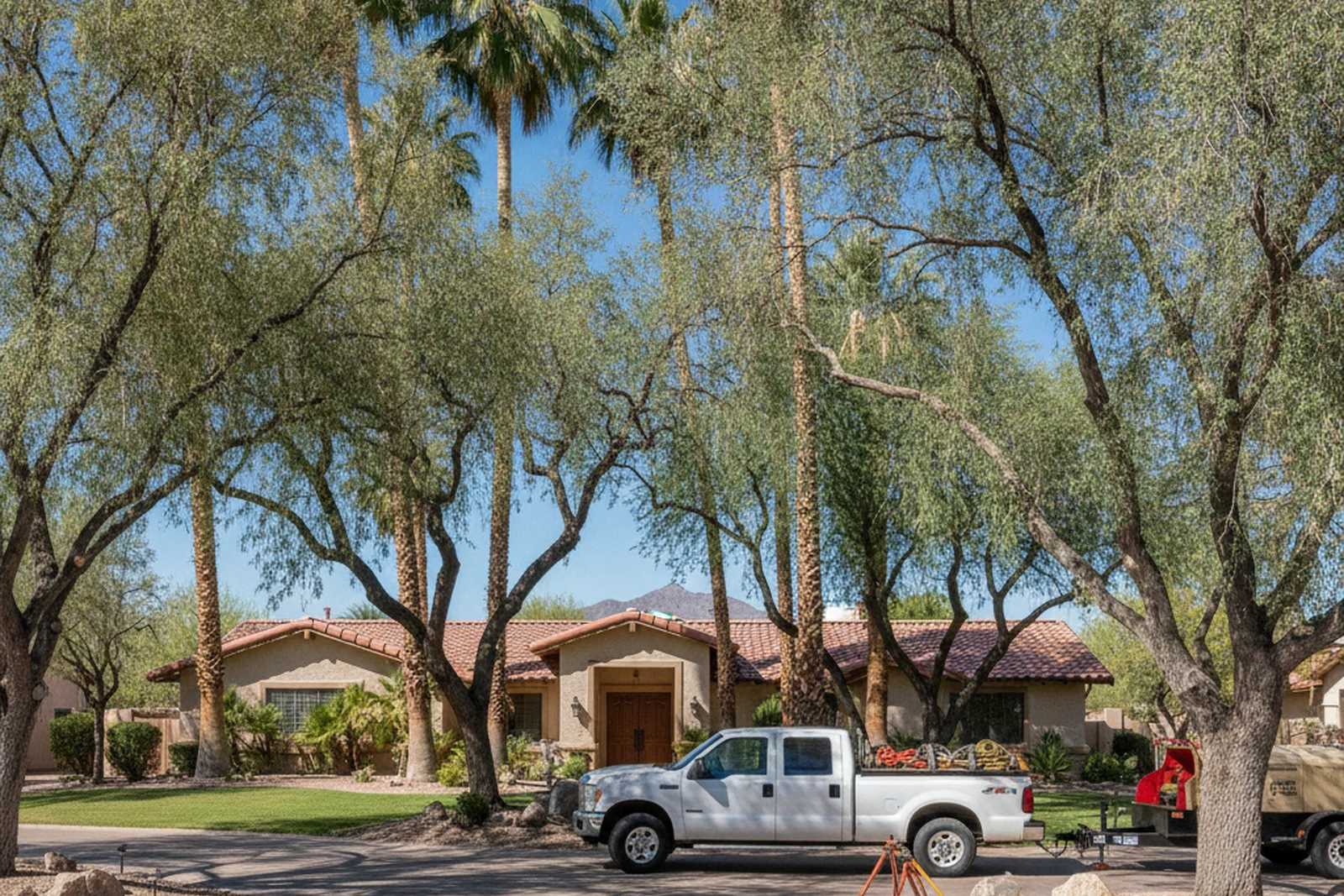 Litchfield Park Arizona mature landscaping palms desert trees Luke AFB area established West Valley residential property Carlos